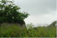 Figure 5: outheast section of Greyfriars monastery perimeter wall collapsing over the cliff. (Feb 2007)